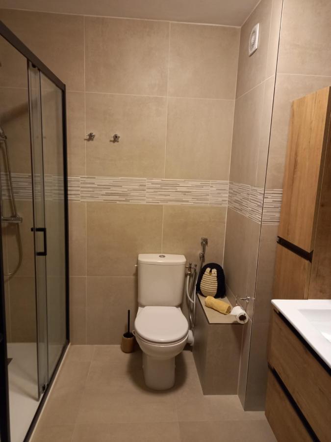 Appartement Cosy Proche Du Lac 阿讷西 外观 照片